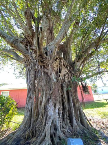 802 14 St, Fort Pierce FL 34950-2819 exterior