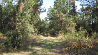 166 Arden St, Georgetown, FL 32139-2200