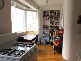 1447 Fletcher St, Chicago IL  60657-2112 exterior