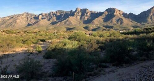 11656 Silverwood Dr, Tucson AZ 85739-1003 exterior