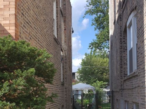 356 70th Pl, Chicago, IL 60637-4603