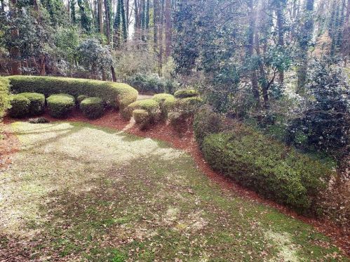 1401 Council Blf Dr, Atlanta GA 30345-4133 exterior