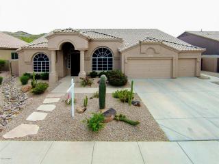 16229 1st St, Phoenix, AZ 85048-2008