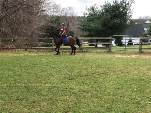 16 Pierce Rd, Sutton MA 01590-2909 exterior