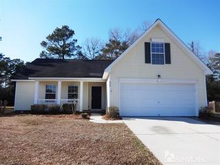 429 Cabrill Dr, Charleston SC  29414-9019 exterior