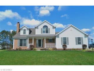 59 Kingston Dr, Aurora, OH 44202-6619