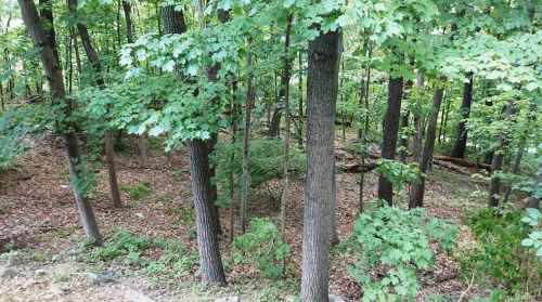 9 James St, Peekskill NY 10566-2455 exterior