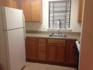 658 42nd St, Chicago IL  60653-2823 exterior