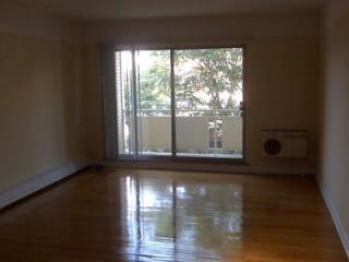 520 Melrose St, Chicago IL  60657-3890 exterior