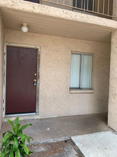 7503 Pitch Pine Cir, Tampa, FL 33617-8551