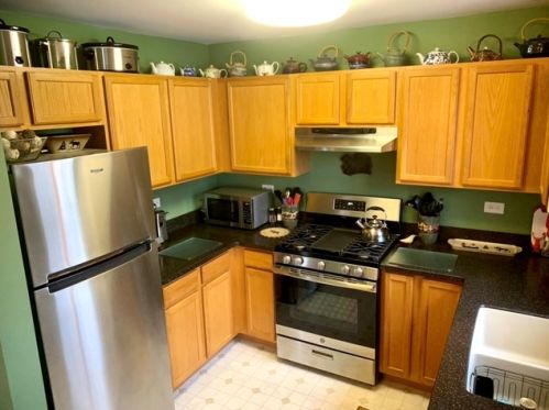 602 Silver Leaf Dr, Joliet IL 60431-8317 exterior