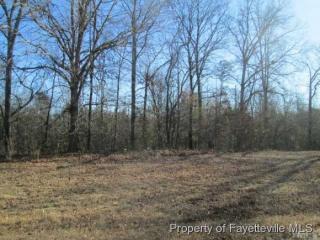 195 Maple Leaf Ct, Lillington NC  27546-5681 exterior