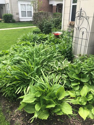 4662 Lamon Ave, Chicago IL 45740-2033 exterior