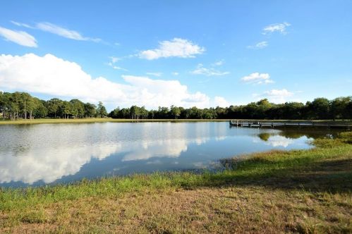 5450 Honea Egypt Rd, Montgomery TX 77316-9483 exterior