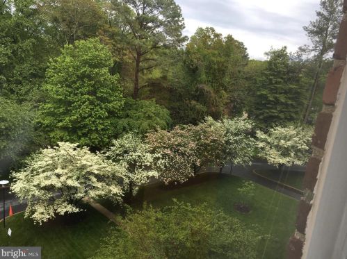 3601 Connecticut Ave, Washington DC 20008-2406 exterior