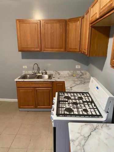 7823 Ada St, Chicago IL  60620-3719 exterior