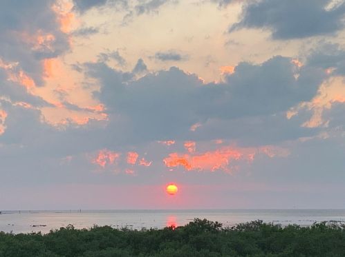 13435 Starfish Dr, Port Richey FL  34667-7606 exterior