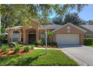 7218 Hammet Rd, Tampa FL  33647-1205 exterior