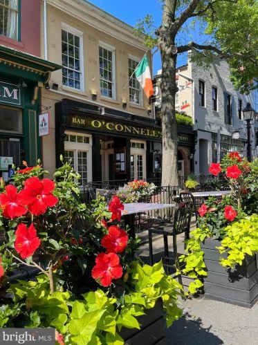 513 Princess St, Alexandria VA 22314-2332 exterior