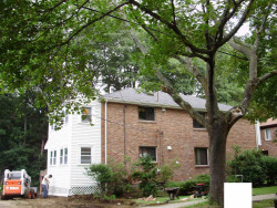 35 Louise Rd, Boston, MA