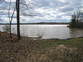 8641 Buckhorn Plantation Rd, Sims, NC 27880-9512