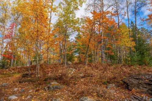 3120 Van Vac Rd, Ely MN 55731-8438 exterior