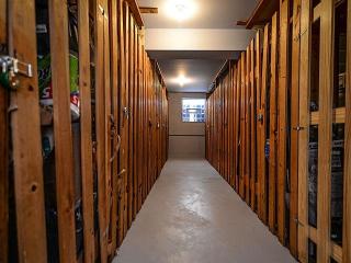 1424 Golden Ave, Ann Arbor MI  48104-4369 exterior