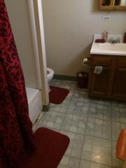 11730 Wade St, Detroit MI  48213-1611 exterior