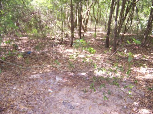 785 Adams Rd, Defuniak Springs FL 32433-5101 exterior