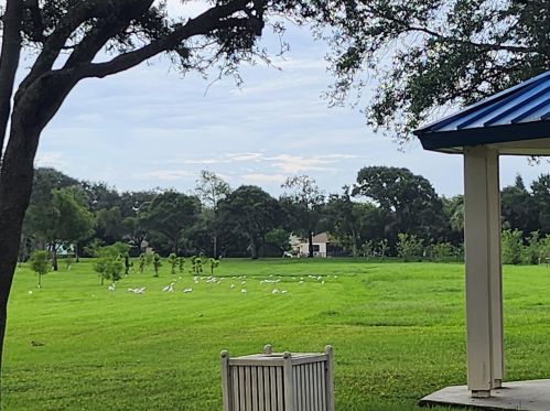 14 Bentwater Cir, Boynton Beach FL 33426-7603 exterior