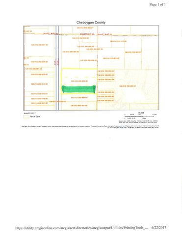 3681 Extension Rd, Cheboygan, MI 49721-9752