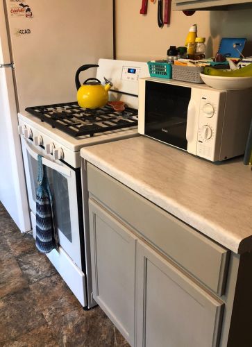 1436 Matilda St, Grand Rapids MI 49503-1346 exterior