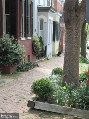 1237 29th St, Washington DC  20019-2102 exterior