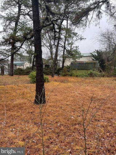 106 Cherokee Dr, Browns Mills NJ  08015-6251 exterior