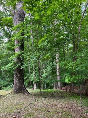 7135 Cherry Blf Dr, Atlanta GA 30350-1029 exterior