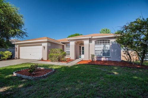 10214 Ashley Oaks Dr, Riverview, FL 33578-8846
