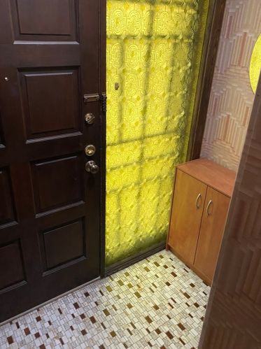 233 24th Pl, Chicago IL  60616-2227 exterior