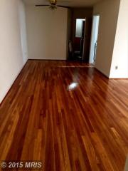 909 Cooks Ln, Baltimore MD  21229-1227 exterior