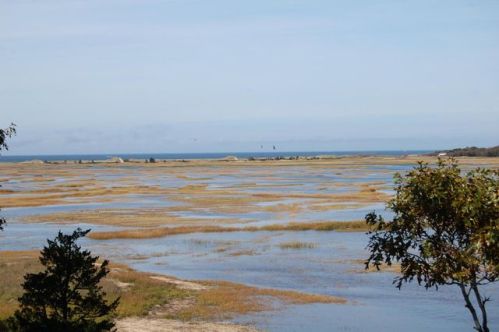 20 Teal Way, Eastham, MA 02642-3411