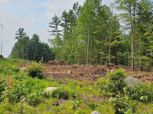 45 Curtisville Rd, Concord, NH 03301-5907