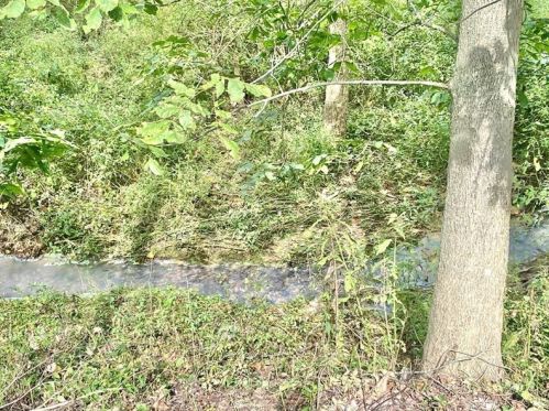 882 Center Rd, Pittsburgh PA  15239-1962 exterior