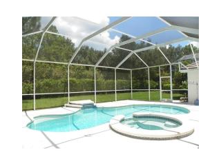 17803 Hickory Moss Pl, Tampa FL  33647-2285 exterior