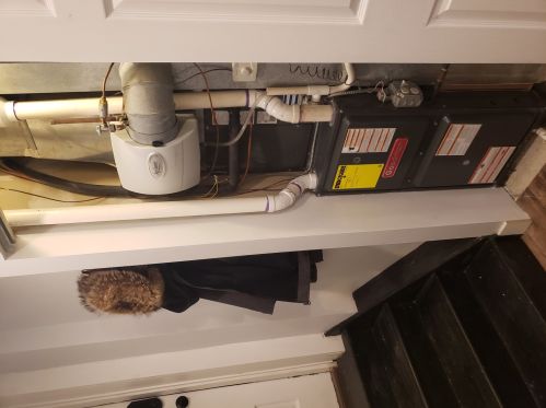 7712 Ashland Ave, Chicago IL 60626-1116 exterior