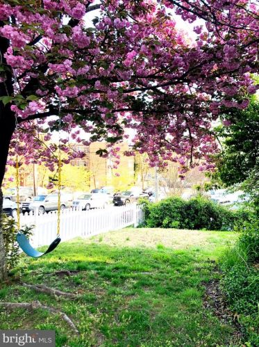 8816 Glenville Rd, Silver Spring MD 20901-3638 exterior