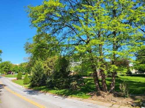 1 Crabapple Ct, Saint Louis MO 63132-3422 exterior