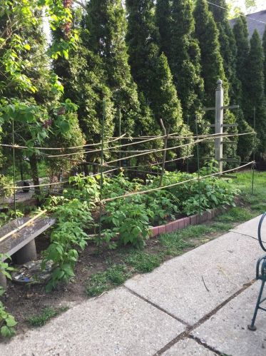 5660 Braeburn Ln, Milwaukee WI 53209-3328 exterior