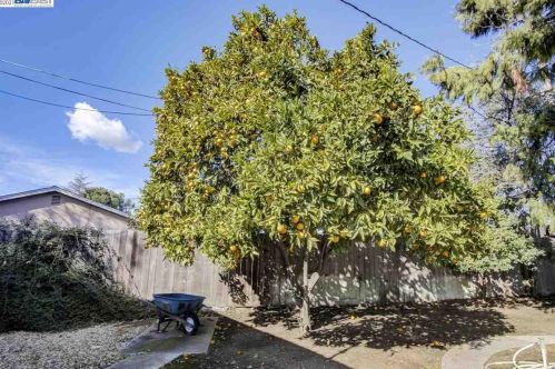 4299 Cherrywood Ct, Concord CA exterior