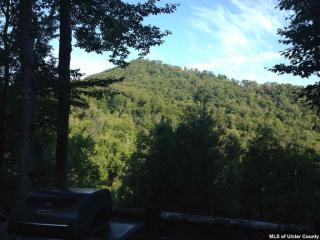 193 Pantherkill Rd, Phoenicia, NY