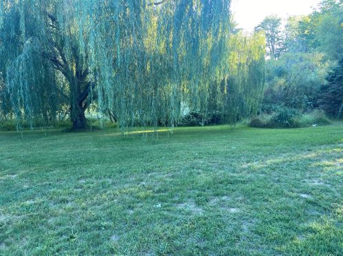 1479 Sarnia St, Meskegon MI 49444-3309 exterior