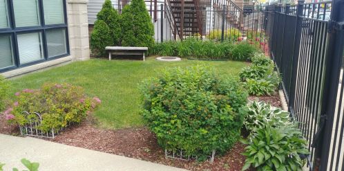 2444 Diversey Ave, Chicago IL  60647-6635 exterior